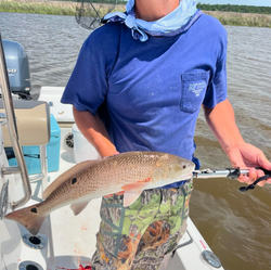 Explore Mississippi Redfish Fishing Grounds 