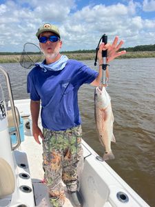 Another April Redfish in the back bay 