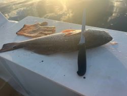 Scenic view of MS landscape