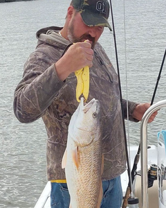 Redfish caught in Pass Christian