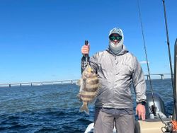 Sheepshead fish caught in Pass Christian