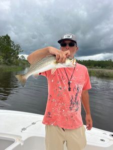 Photograph of a spotted weakfish measuring 16 inches caught while fishing in MS.
