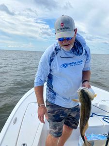 Lone angler fishing in MS