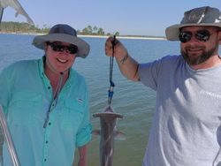 Shark Fishing In Savannah, GA