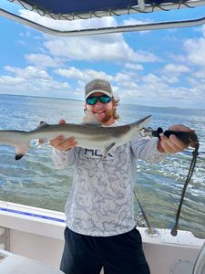 Georgia’s shark waters are calling—are you ready? 