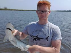 Shark Fishing In Savannah, GA