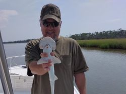 Bonnethead Shark Fishing In Savannah, Georgia
