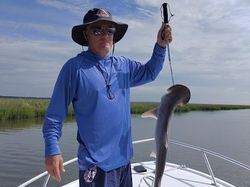 Fishing For Shark In Savannah