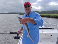 Fishing For Shark In Savannah