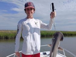 Bonnethead Shark Fishing In Savannah, Georgia