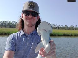 Bonnethead Shark Fishing In Savannah, Georgia