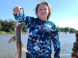 Blacktip Shark caught while fishing in GA