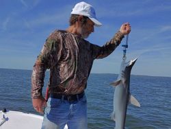 A fisherman holding a Picked Dogfish in GA