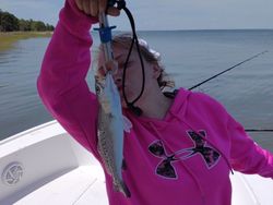 Spotted weakfish caught while fishing in Savannah