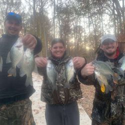 5 crappie fish caught at Cave Spring while fishing and hunting