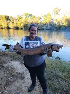 1 angler fishing in Cave Spring