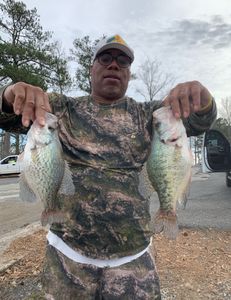 Two white crappie fish caught in Georgia
