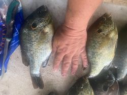 Two people fishing in GA