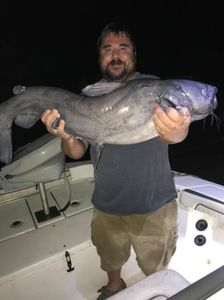 Photograph of a 27-inch blue catfish caught in Cave Spring
