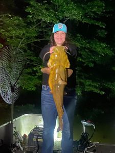 A lone angler fishing in the scenic Cave Spring
