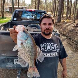 A photo of a crappie fish that measures 19 inches long, caught in GA.