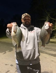 Two crappie fish caught while fishing in GA