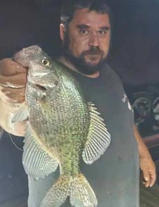 Crappie fish caught in GA