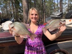 Two crappie fishing caught in Cave Spring