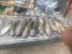Fishing adventure in GA