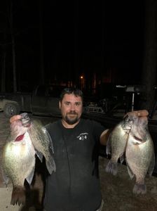 4 freshwater fish caught in Cave Spring