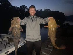 Flathead Catfish caught in GA