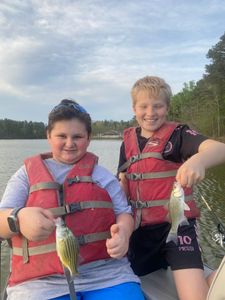 Two Wiper (Hybrid striped bass) and White Bass fish caught in GA