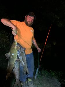 Lone angler fishing in Cave Spring
