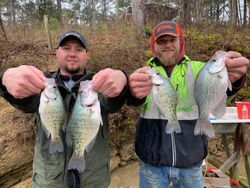 4 white crappie fish caught during fishing and hunting trip in Cave Spring
