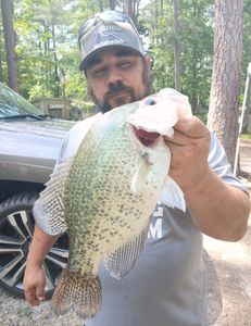 A lone fisherman reeling in their catch in GA