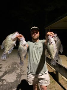 Three crappie fish caught in GA