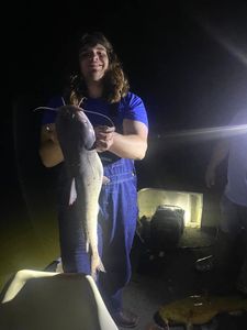 Massive white catfish caught in cave spring