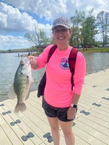 One white crappie fish caught while fishing at Cave Spring