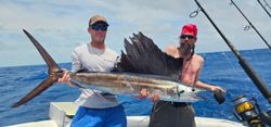 Atlantic sailfish caught while deep sea fishing in Islamorada FL
