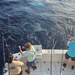 Amazing fishing trip in FL