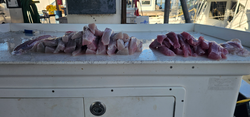 Fresh fillets ready from Islamorada waters!