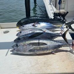 Two fishermen land two fish in Islamorada