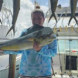 4 big fish caught fishing in FL