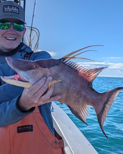 Cast a line, make memories, on Anna Maria.