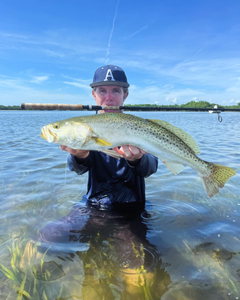 Spotted weakfish caught in Florida by one person fishing