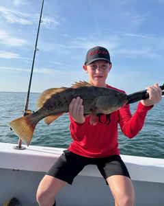 Gag Grouper, 24-inch fish caught during fishing tour in Holmes Beach