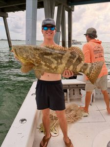 Goliath grouper catch from fishing charter in Holmes Beach FL