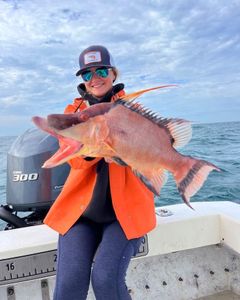 Hogfish caught in FL while fishing on tour
