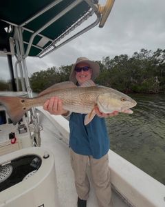 Redfish measuring 36 inches caught in FL