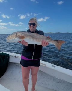 Redfish caught in FL on fishing tour